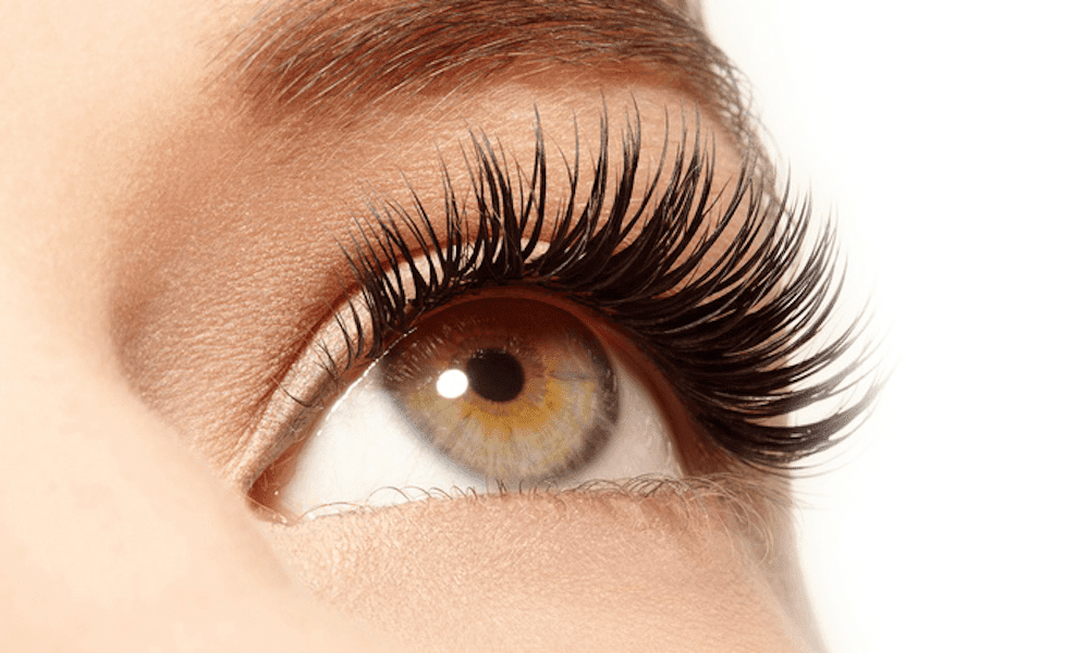 Lash Studio 101 - Lash & Brow Venue | 101-611 Goldstream Ave, Victoria, BC V9B 2W9, Canada | Phone: (250) 360-6277