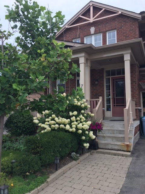 Kellys Piano Studio | 7 Linsmary Ct, Markham, ON L6E 1L2, Canada | Phone: (905) 955-8474