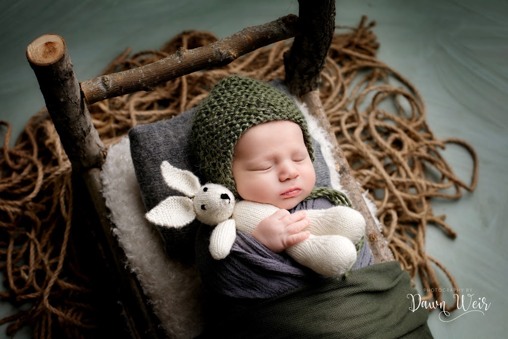 Photography By Dawn Weir | 6 Orlando Dr, St. Albert, AB T8N 6V9, Canada | Phone: (780) 458-4715