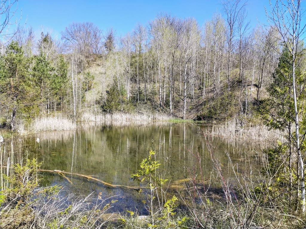 Lyn Valley Conservation Area | 90 Lyn Valley Rd, Lyn, ON K0E 1M0, Canada | Phone: (613) 546-4228