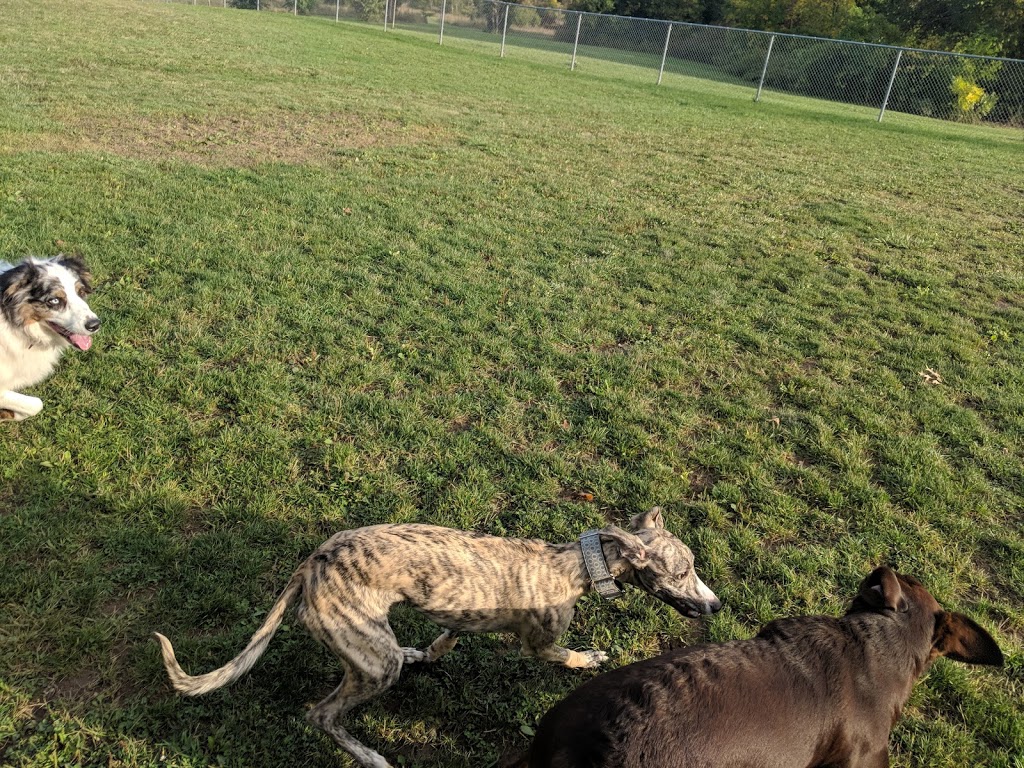 Burgoyne Woods Dog Park | 70 Edgedale Rd, St. Catharines, ON L2R, Canada | Phone: (905) 688-5600