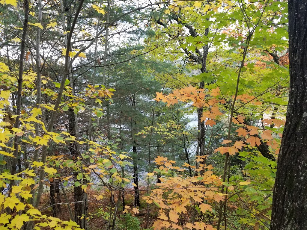 Trillium Resort & Spa | 848 Clearwater Lake Rd, Port Sydney, ON P0B 1L0, Canada | Phone: (705) 385-1212