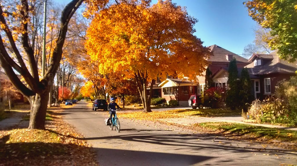 Belvedere Park | London, ON N6C 1B9, Canada