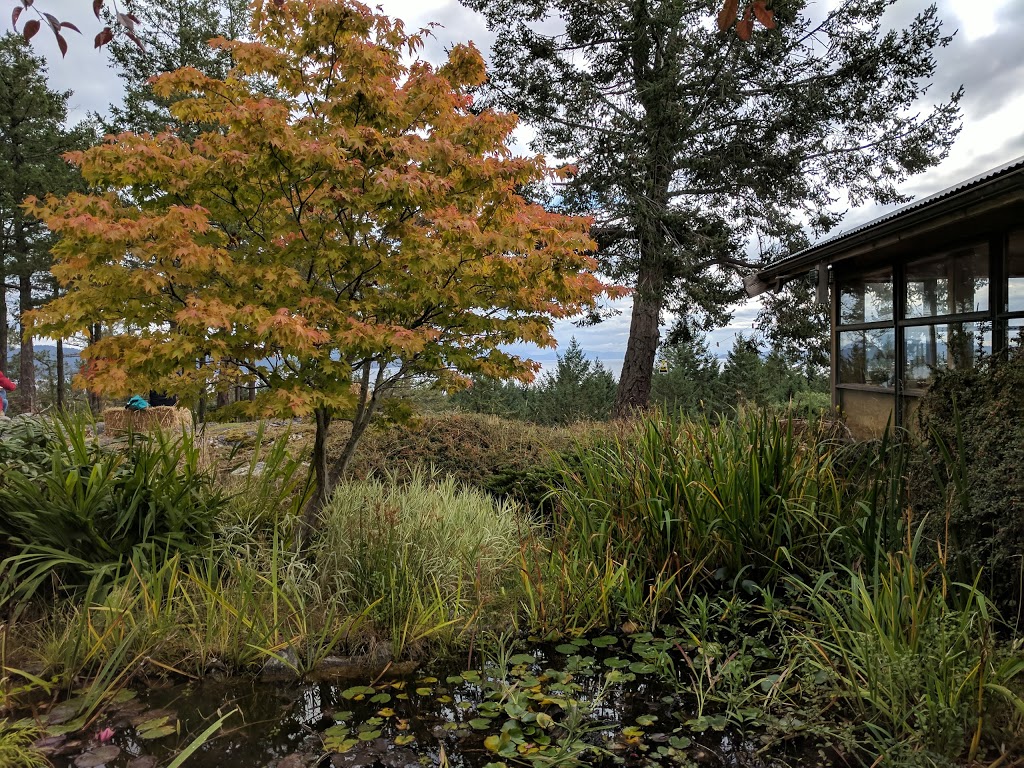 Salt Spring Island Bread Co | 251 Forest Ridge Rd, Salt Spring Island, BC V8K 1W4, Canada | Phone: (250) 653-4809
