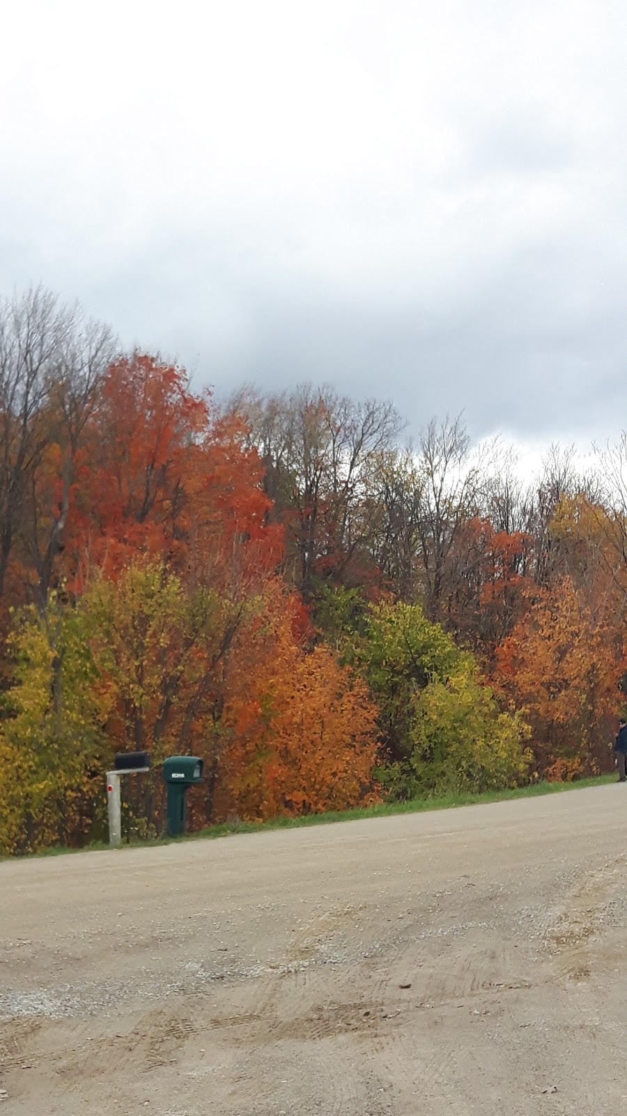 7th Line Parking Lot | 953151 7 Line E, Orangeville, ON L9W 2Z2, Canada