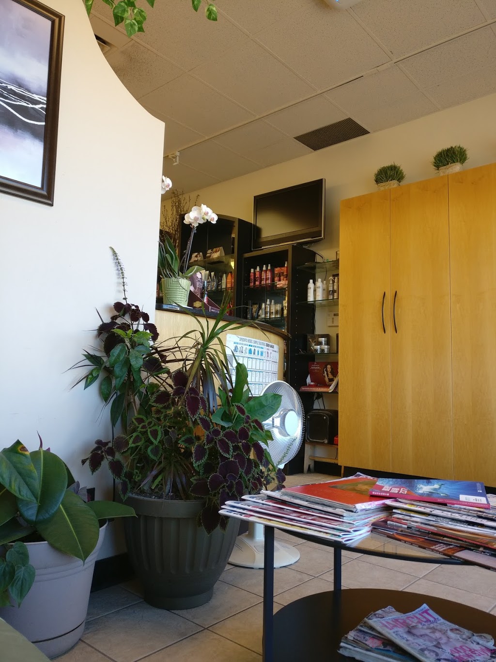Medusa 2000 Hair | 2077 Pembina Hwy #26, Winnipeg, MB R3T 5J9, Canada | Phone: (204) 275-7191