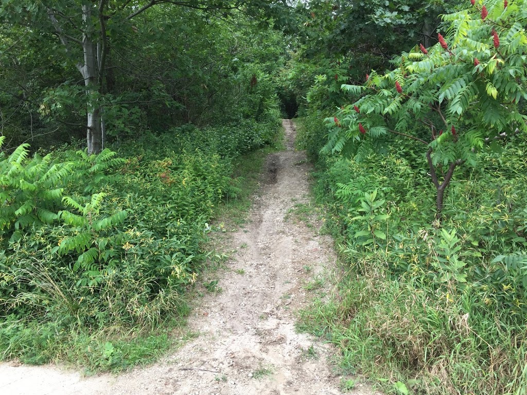 Roding Park | 600 Roding St, North York, ON M3M 2A6, Canada