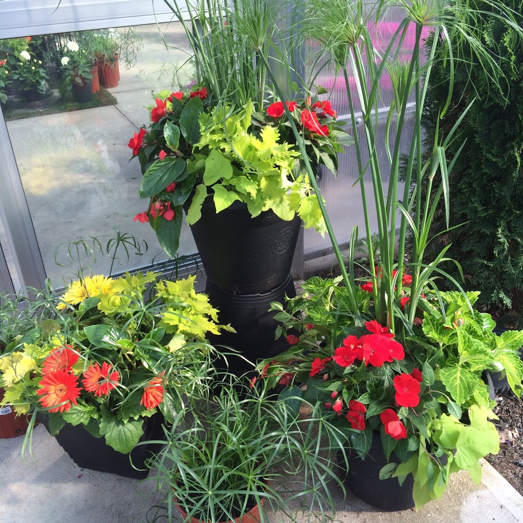 Wildhagen Greenhouses | 7291 Milburough Line, Milton, ON L0P 1B0, Canada | Phone: (905) 689-8427