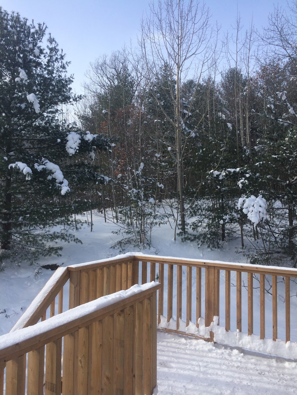 Wil and Claude Lakehouse | 3924, Delta Rd, Severn Bridge, ON P0E 1N0, Canada | Phone: (705) 687-7909