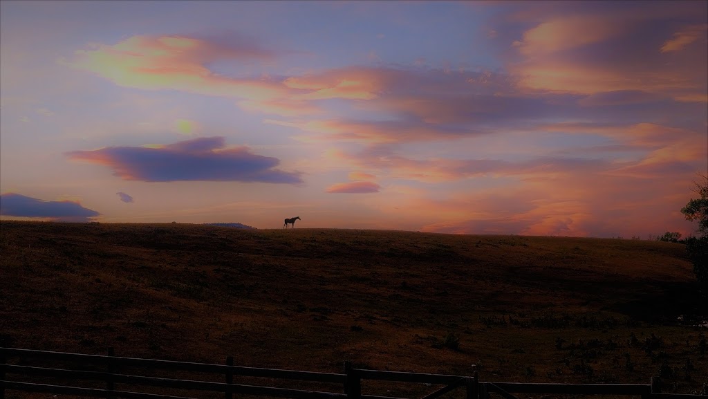Sierra West Cabins & Ranch | Unnamed Rd,, Lundbreck, AB T0K 1H0, Canada | Phone: (403) 628-2431
