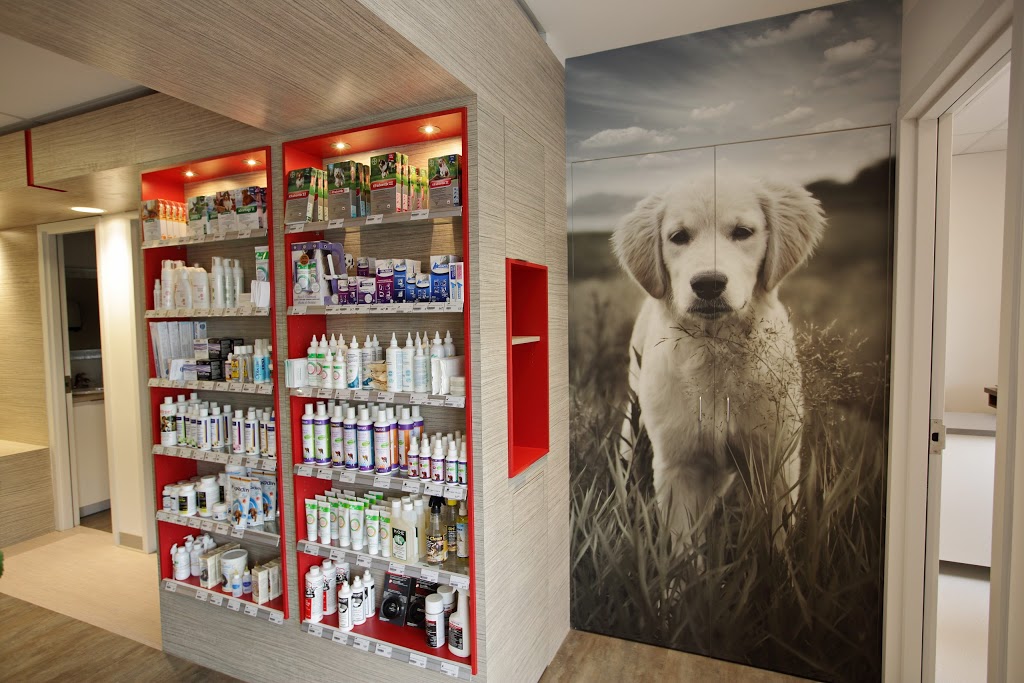 Veterinary Clinic Lévis-Lauzon | 6883 Boulevard Guillaume-Couture, Lévis, QC G6V 9H5, Canada | Phone: (418) 833-4917
