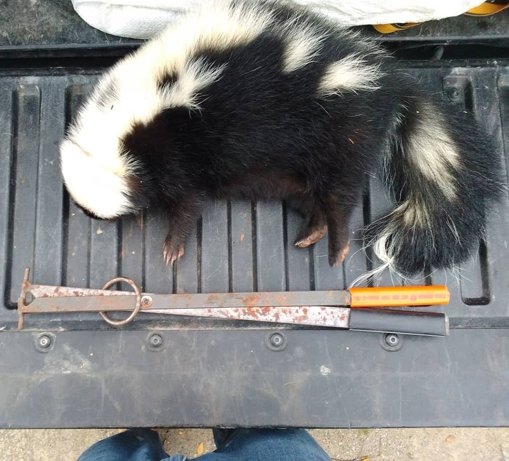 MZ Nuicanse Animal Removal | 1017 Bannister St, Elmvale, ON L0L 1P0, Canada | Phone: (705) 730-4252