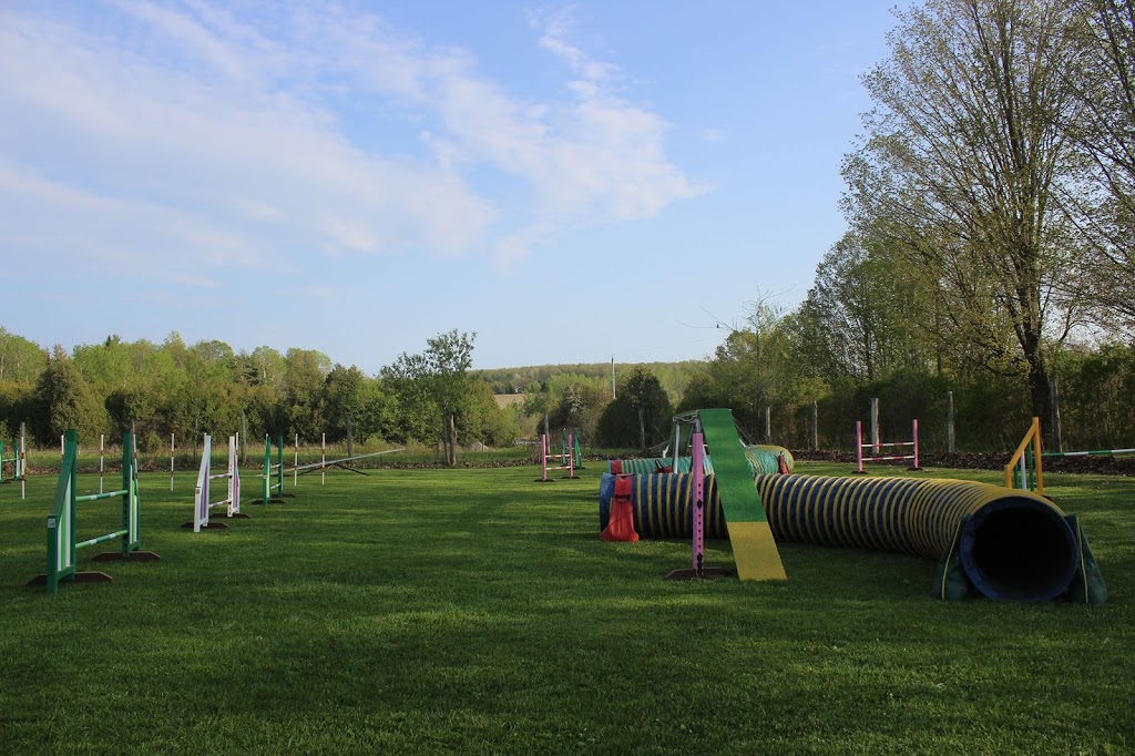 On Target Dog Training | 188 Burbridge Rd, Colborne, ON K0K 1S0, Canada | Phone: (905) 355-1707