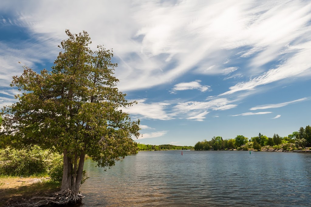 The Regency of Lakefield | 91 Concession St, Lakefield, ON K0L 2H0, Canada | Phone: (705) 651-2400