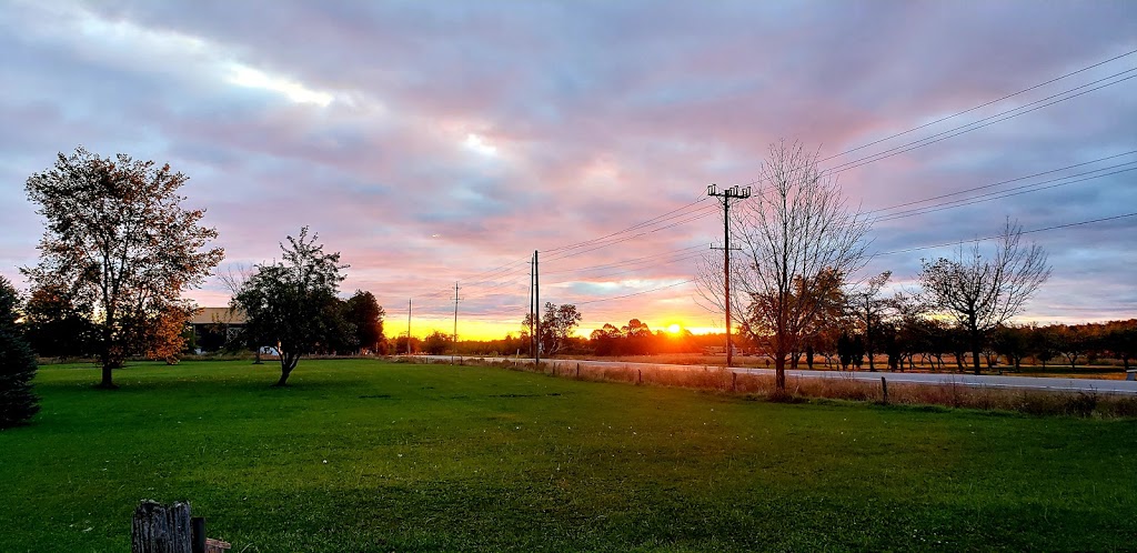 Pet Country Estate | 3087 20th Sideroad, Innisfil, ON L9S 1A8, Canada | Phone: (705) 431-1010