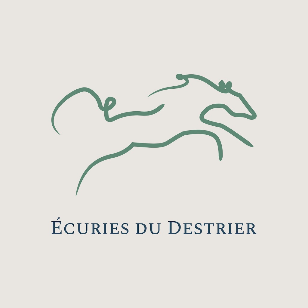 Écuries du Destrier | 450 Chem. des Sables O, Pintendre, QC G6C 1B5, Canada | Phone: (418) 808-8059