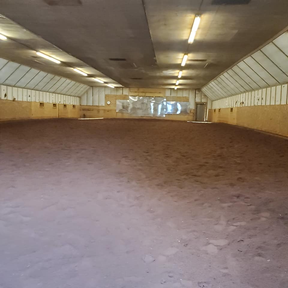 Willow & Withers Stables | 1575 Middle Dyke Rd, Centreville, NS B0P 1J0, Canada | Phone: (902) 483-4811