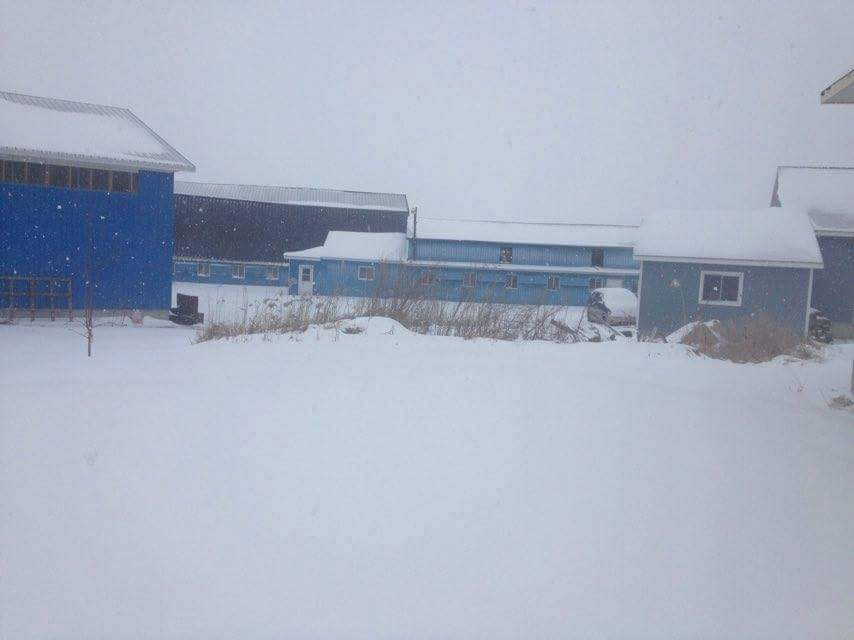 Ferme Jarret et Frères Inc | 240 Rang Casimir, Ange-Gardien, QC J0E 1E0, Canada | Phone: (450) 293-4506
