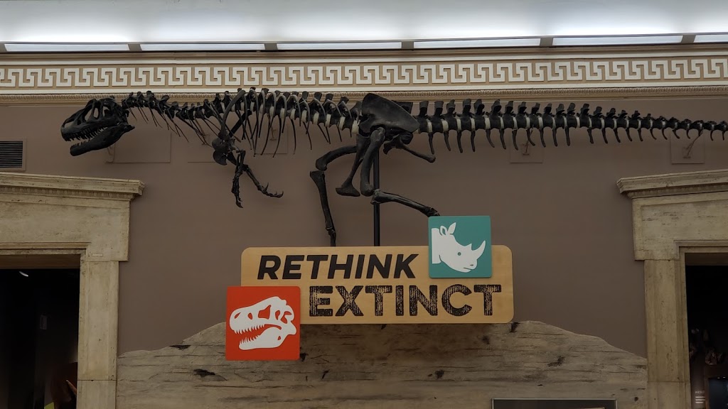Buffalo Museum of Science | 1020 Humboldt Pkwy, Buffalo, NY 14211, USA | Phone: (716) 896-5200