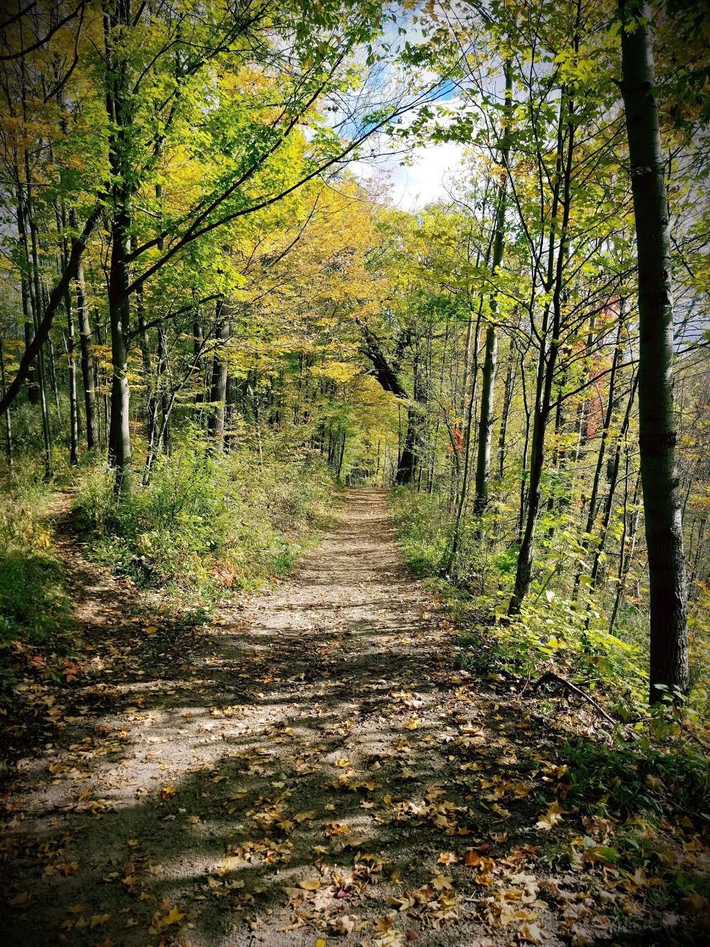 Little John Park | 10 Rogers Rd, Dundas, ON L9H 4E4, Canada | Phone: (289) 887-2174