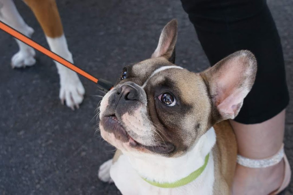 LAmie Des Animaux | Saint-Roch-de-lAchigan, QC J0K 3H0, Canada | Phone: (450) 588-0685