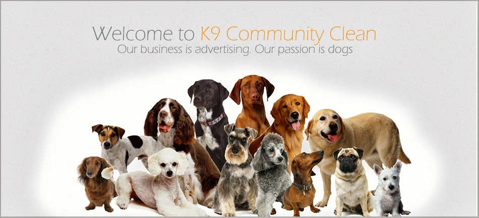 k9 Community Clean | 158 171 St, Surrey, BC V3Z 0X1, Canada | Phone: (604) 723-2116