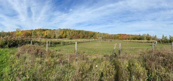 Ferme Équestre Aux Trois Temps | 49 Rang des Vingt, Saint-Basile-le-Grand, QC J3N 0E3, Canada | Phone: (514) 655-7019