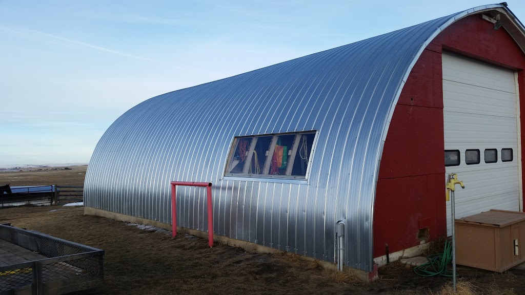 Century Roofing Ltd | 4204 10 St NE, Calgary, AB T2E 6K3, Canada | Phone: (403) 235-5457