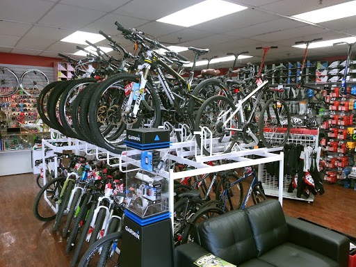 Spoke OMotion | 17915 Leslie St, Newmarket, ON L3Y 3E3, Canada | Phone: (905) 853-9545