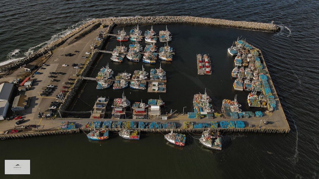 Drone & Co. | 63 Sand Pit Rd, Barton, NS B0W 1H0, Canada | Phone: (902) 308-0555