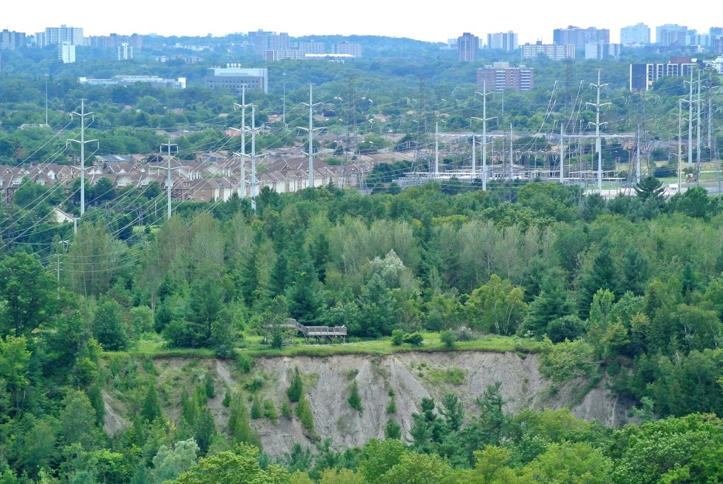 Vista Trail Trailhead | 1749 Meadowvale Rd, Scarborough, ON M1B 5W8, Canada | Phone: (416) 264-2020