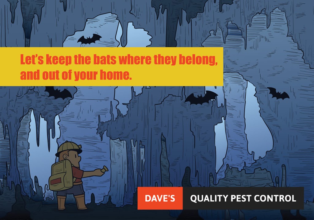 Daves Quality Pest Control Kawartha Lakes | 643 St Lukes Rd, Lindsay, ON K9V 4R5, Canada | Phone: (866) 984-2434