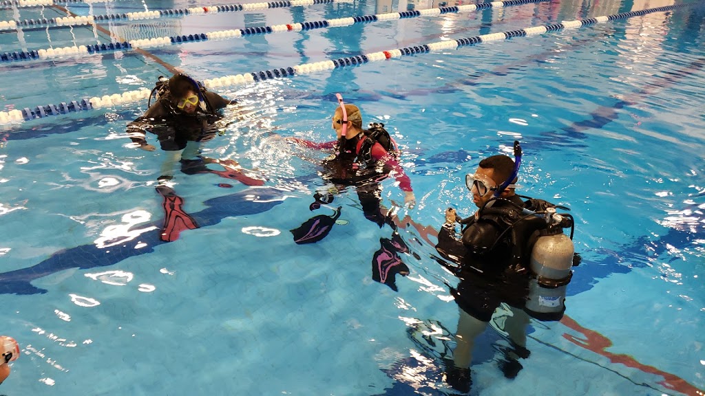 Sechelt Aquatic Centre | 5500 Shorncliffe Ave, Sechelt, BC V0N 3A0, Canada | Phone: (604) 885-6865