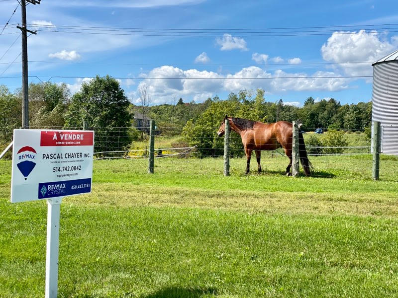 Pascal Chayer RE/MAX DICI | 3080 Ch Sainte-Marie, Mascouche, QC J7K 3B7, Canada | Phone: (514) 742-0842