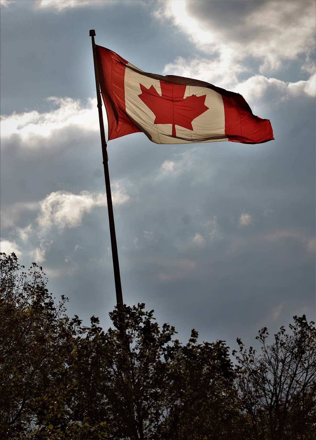 Angels Freelance Photography | 19 Marmora St, London, ON N5Z 1Z4, Canada | Phone: (226) 503-9482