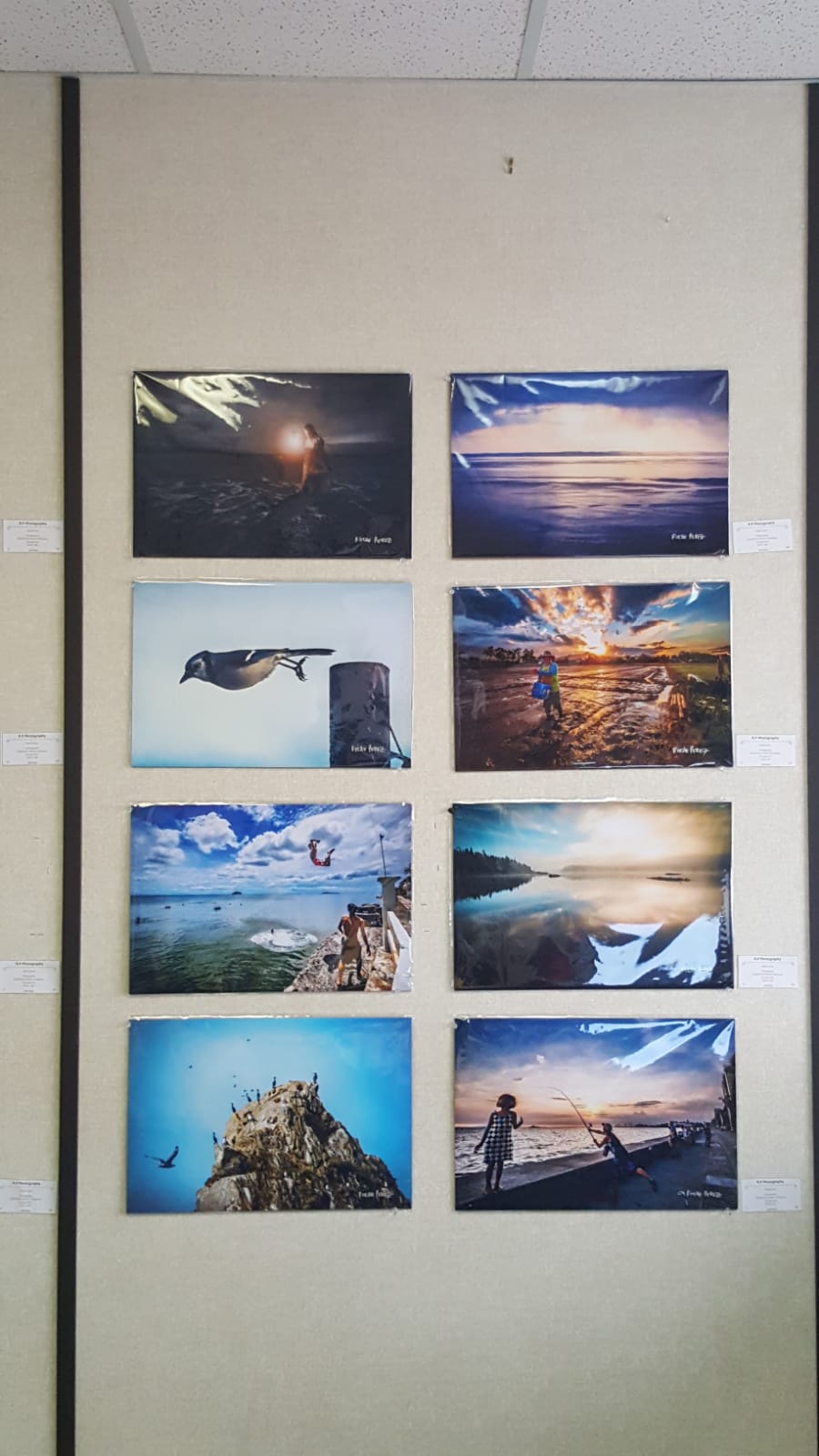 Our Art Gallery | 50 Harbour Dr 2nd Floor, St. Johns, NL A1C 6J4, Canada | Phone: (709) 754-4122