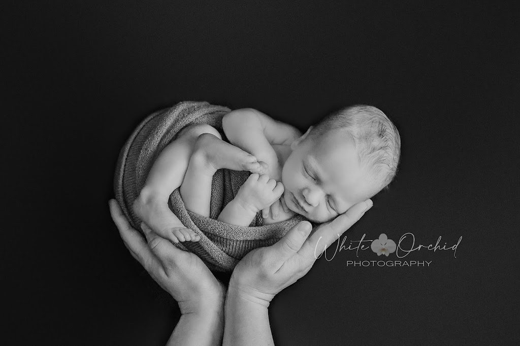 White Orchid Photography | 21 Tanglewood Dr, Binbrook, ON L0R 1C0, Canada | Phone: (905) 512-4760