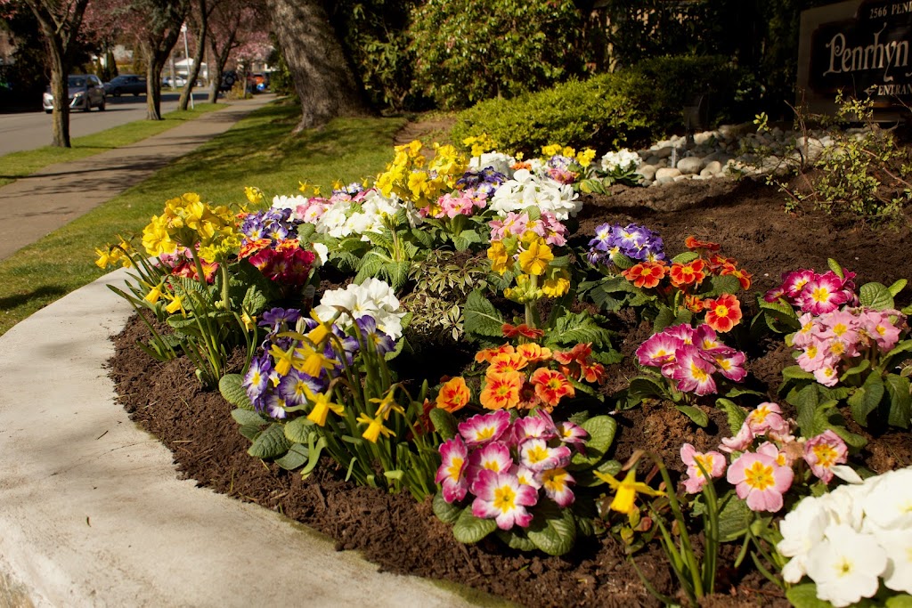 Paradise Gardening and Landscaping | 1547 McRae Ave, Victoria, BC V8P 1G4, Canada | Phone: (250) 857-7869