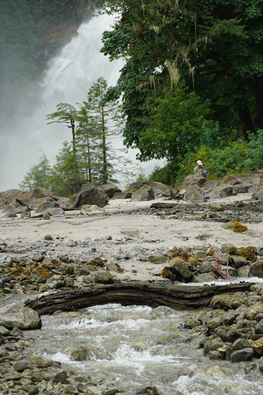 Sunshine Coast Tours | 16660 Backeddy Rd, Madeira Park, BC V0N 2H4, Canada | Phone: (604) 883-2280