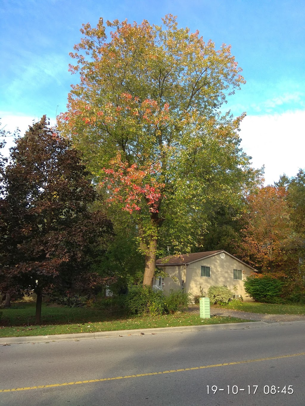 Rosebank Animal Hospital | 1414 Rosebank Rd, Pickering, ON L1V 1P4, Canada | Phone: (905) 839-1822