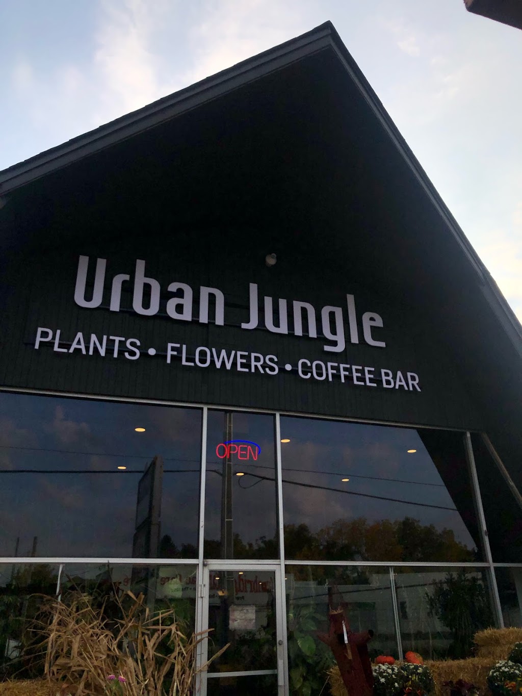 Urban Jungle Cambridge | 149 Hespeler Rd, Cambridge, ON N1R 3G9, Canada | Phone: (519) 624-8284