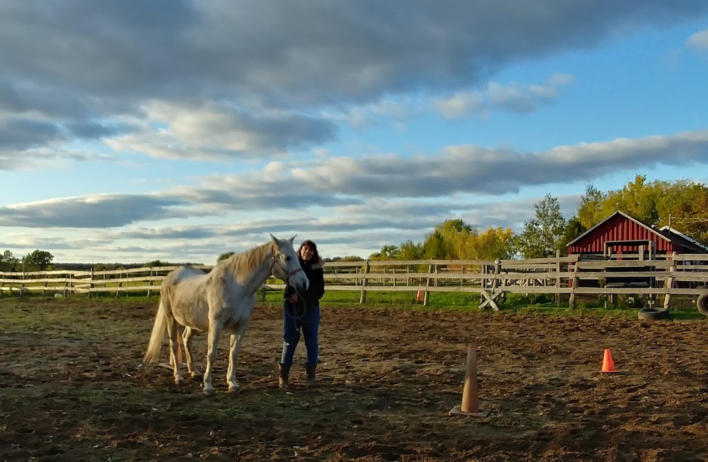 Ecurie Black River Ranch | 852 Rang de la Rivière S, Sainte-Cécile-de-Milton, QC J0E 2C0, Canada | Phone: (514) 592-6571