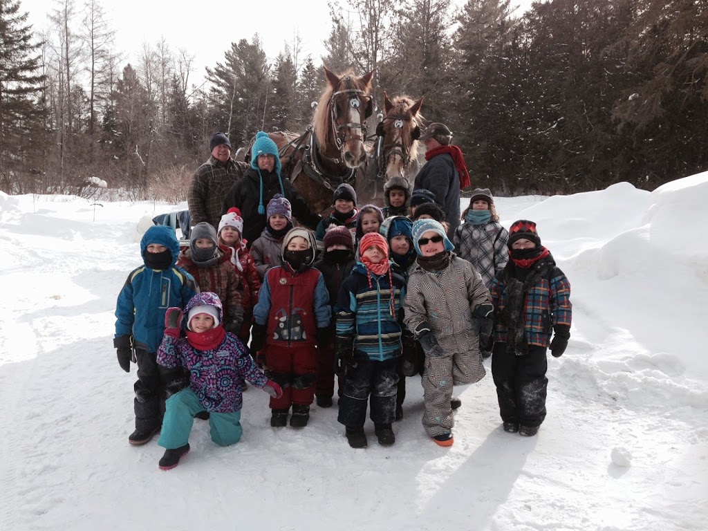 École Anglissimo | 2796 Rue Prospect, Sherbrooke, QC J1L 3A9, Canada | Phone: (819) 562-2323