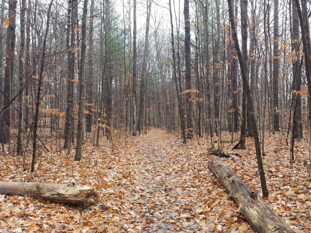 Frontenac Provincial Park | 6700 Salmon Lake Rd, Sydenham, ON K0H 2T0, Canada | Phone: (613) 376-3489