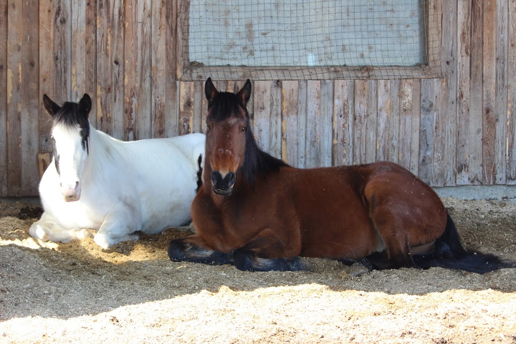 Northleaf Farms | 176 Chemin Brosseau, Saint-Joachim-de-Shefford, QC J0E 2G0, Canada | Phone: (579) 439-8322