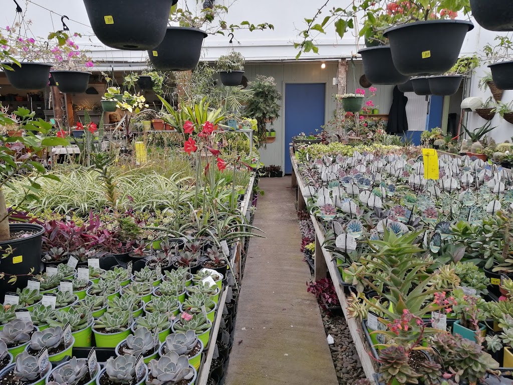The Briar Patch Farm & Nursery | 4568 Highway #1, South Berwick, NS B0P 1E0, Canada | Phone: (902) 538-9164