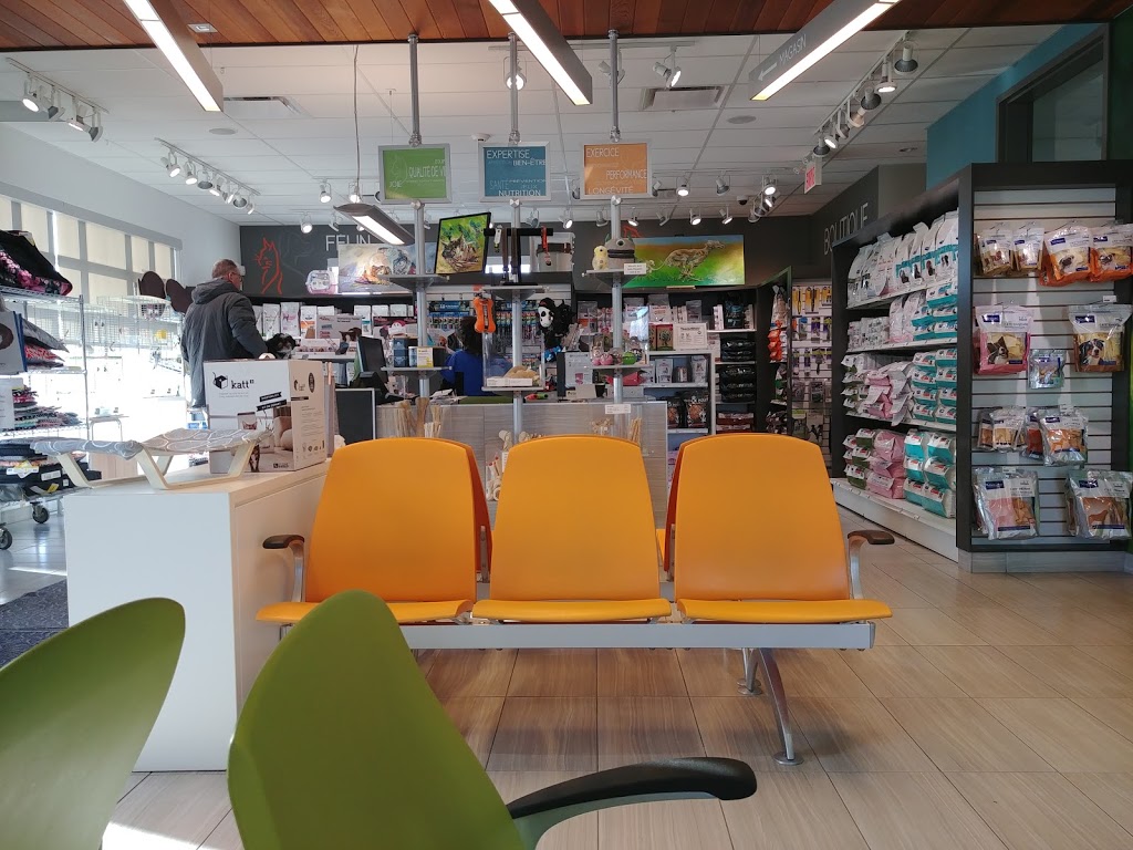 Hôpital Vétérinaire Passionimo Grande Allée | 2707 Chemin Gascon, Mascouche, QC J7L 3X8, Canada | Phone: (450) 968-2141