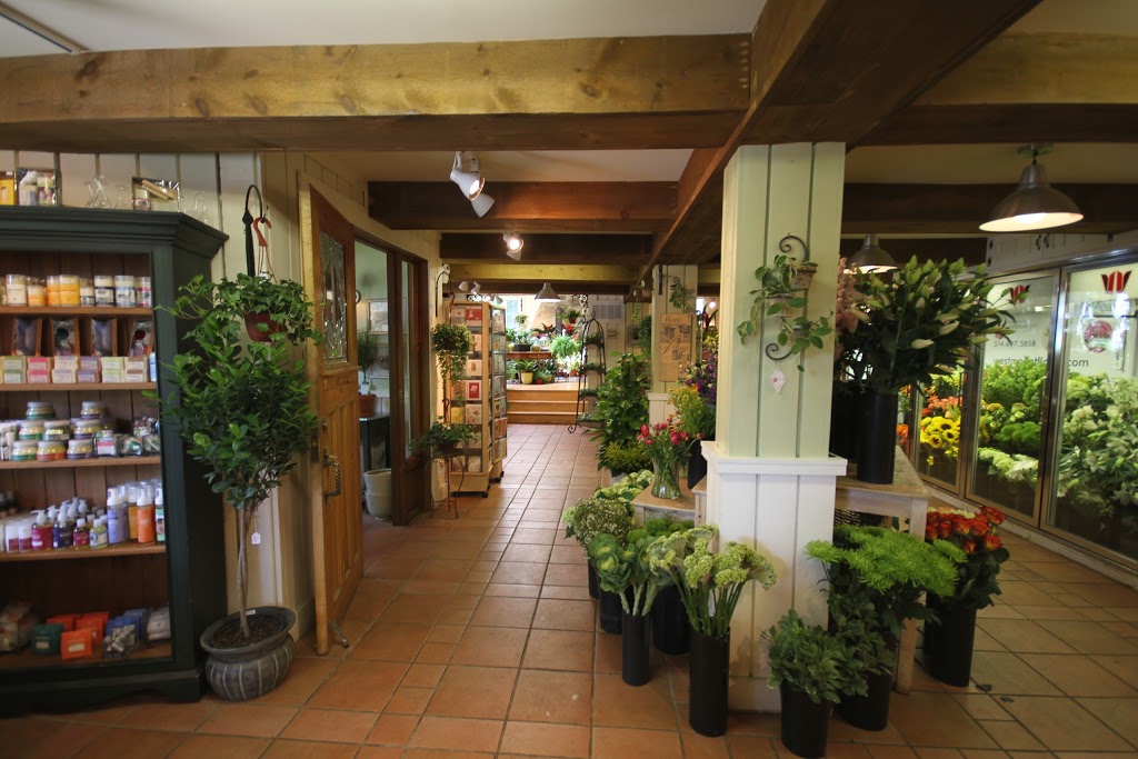 Westmount florist | 343 Chemin du Bord-du-Lac, Pointe-Claire, QC H9S 4L8, Canada | Phone: (514) 697-5858