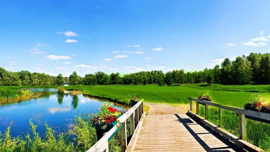 All Seasons Property Services | RR1, 3504 Kirkfield Rd, Sebright, ON L0K 1W0, Canada | Phone: (705) 330-5121