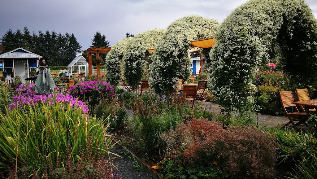 Krause Berry Farms & Estate Winery | 6179 248 St, Langley Twp, BC V4W 1C3, Canada | Phone: (604) 856-5757